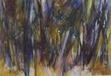 Forest Storm